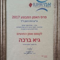 תעודת פרס האמן המבצע לשנת 2017